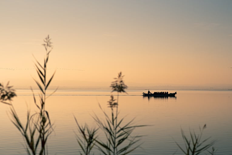 Atardecer Albufera