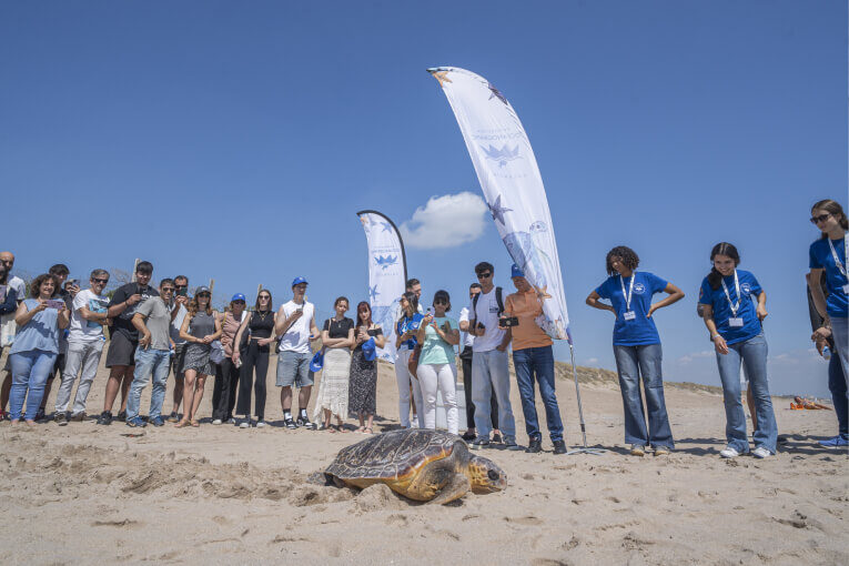 Tortuga Carma Rosa