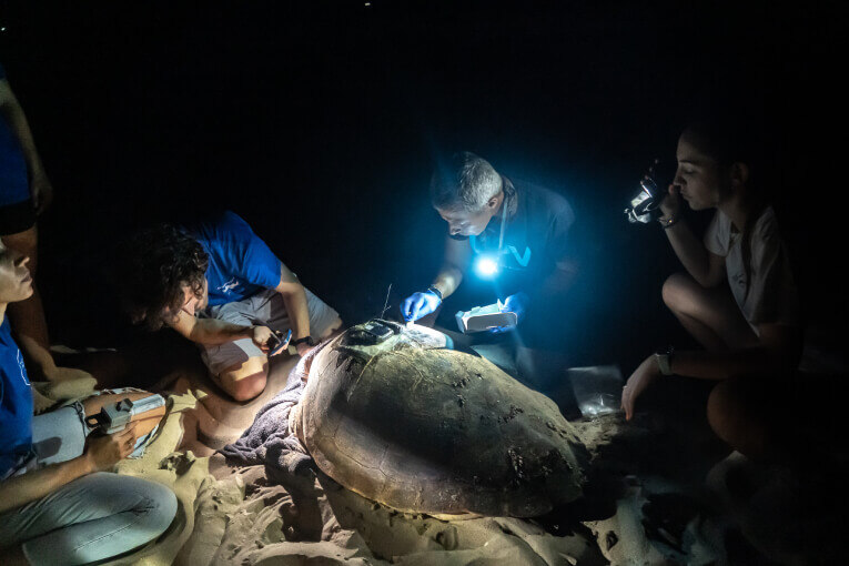 veterinari-fondazione-oceanografica