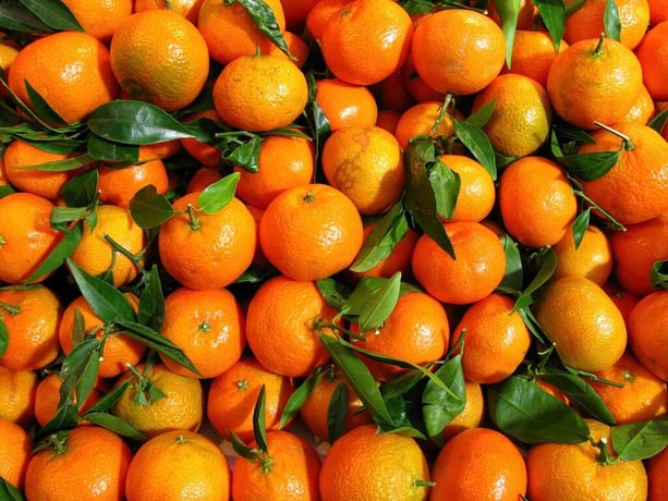 Mercado-central-VV-03374_1024- Foto_Mikel_Ponce