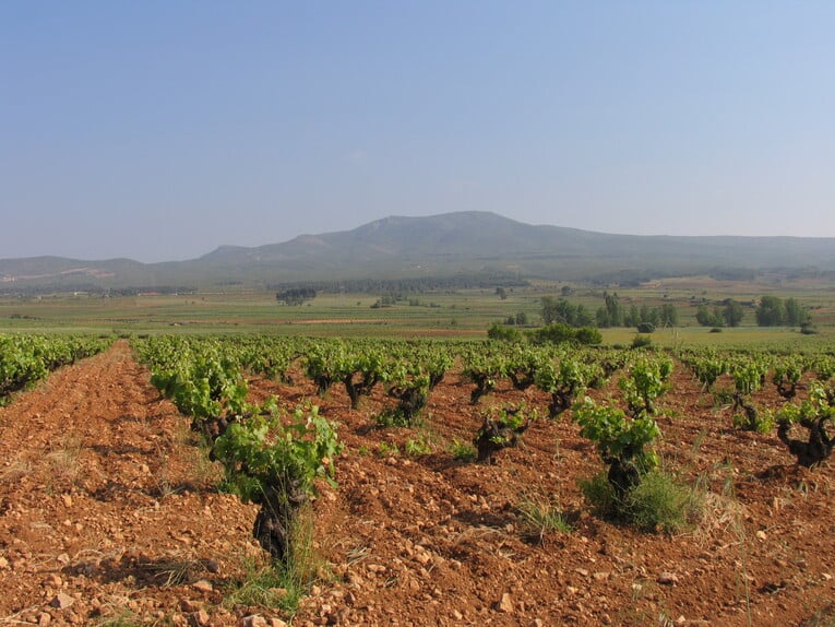 Ruta-del-Vino-Utiel-Requena-VV-10365- Foto_Ruta_del_Vino