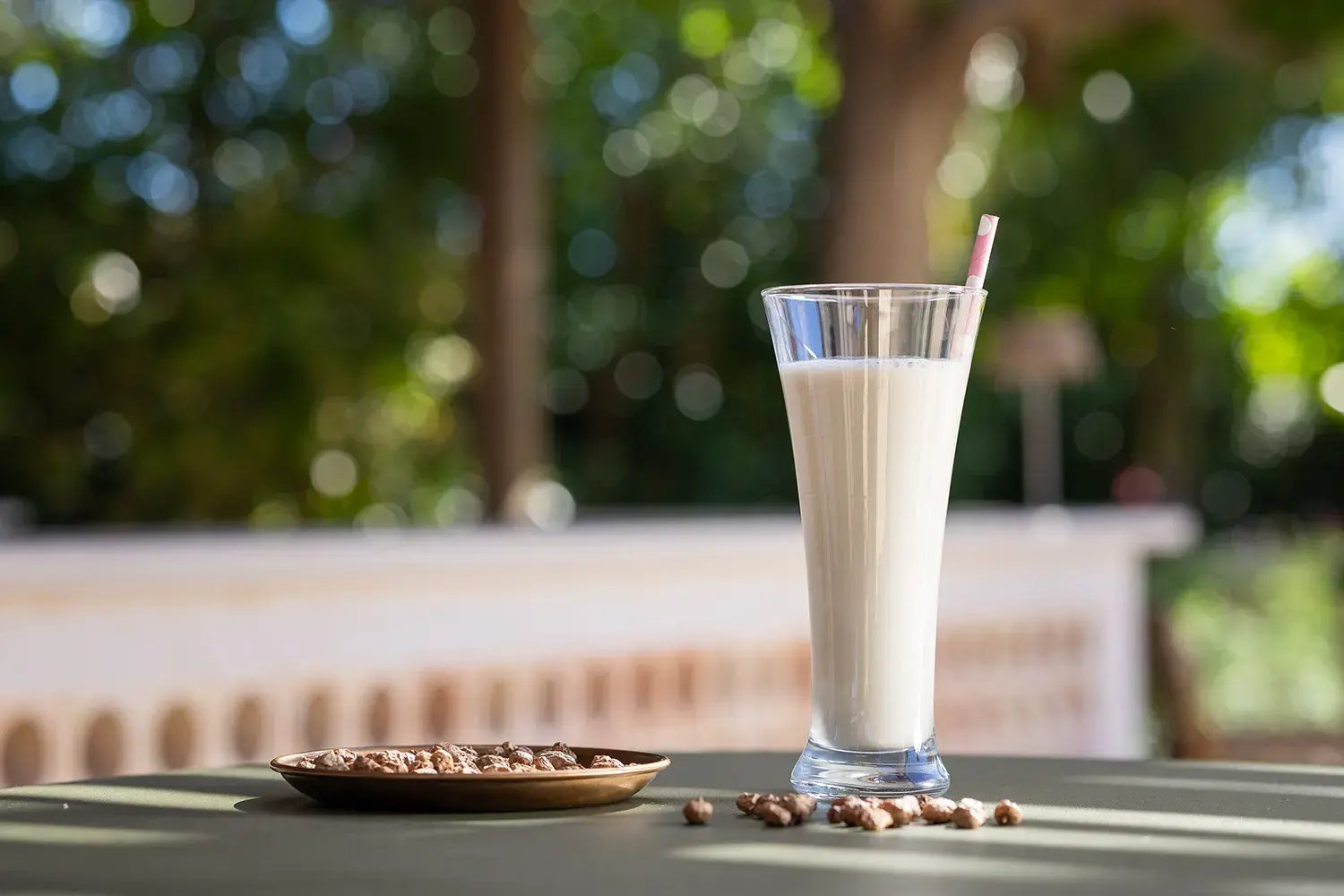horchata-fresquita-valencia