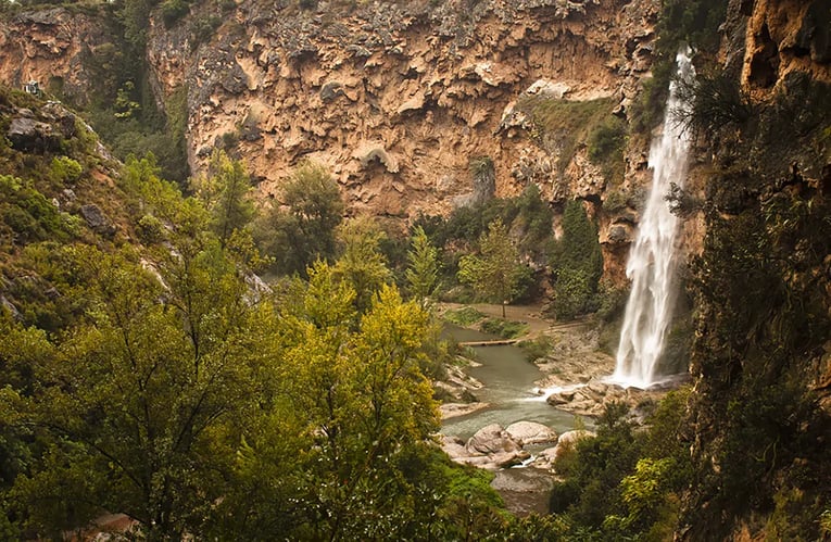 salto-novia