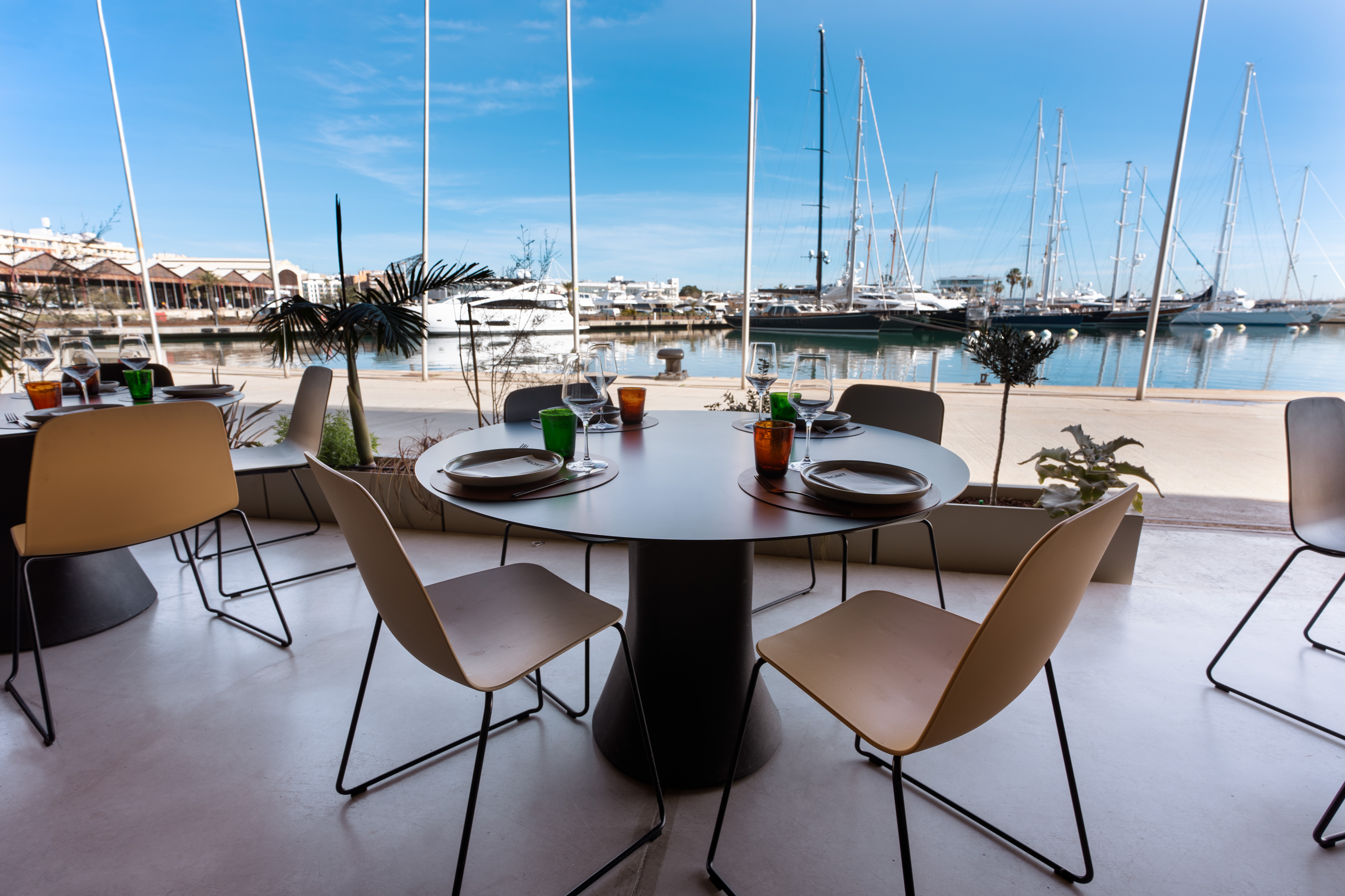 TERRAZA 1